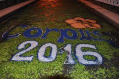 Alfombras_florais_2016_026