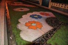 Alfombras_florais_2016_029