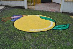 Alfombras_2017_033