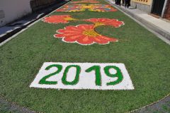 Alfombras_2019_025